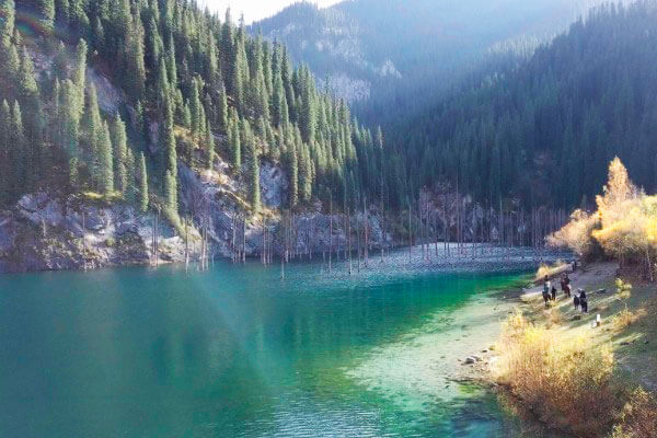 Озеро Каинды в Казахстане с деревьями в воде